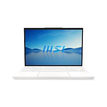 Amazon.com: MSI Prestige 13 EVO 13.3